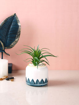 Tayhaa - White Succulent Artificial Plant with Pot