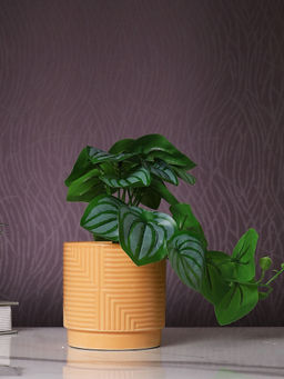 Tayhaa - Brown Peperomia Artificial Plant with Pot