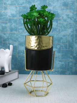 Tayhaa - Black Succulent Artificial Plant with Pot