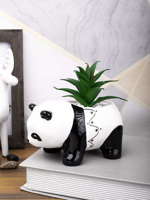 Tayhaa Black Succulent Artificial Plant with Pot