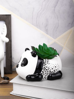 Tayhaa - Black Succulent Artificial Plant with Pot