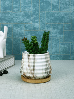 Tayhaa - Brown Succulent Artificial Plant with Pot