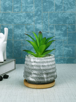 Tayhaa - Grey Succulent Artificial Plant with Pot
