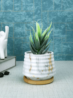 Tayhaa - White Succulent Artificial Plant with Pot