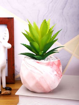 Tayhaa - Pink Aloe Vera Artificial Plant with Pot