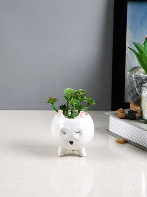 Tayhaa White Succulent Artificial Plant with Pot