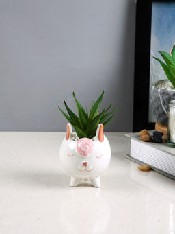 Tayhaa - White Succulent Artificial Plant with Pot