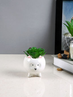 Tayhaa - White Succulent Artificial Plant with Pot