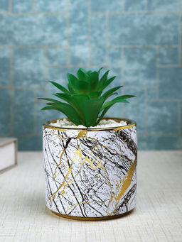 Tayhaa - White Succulent Artificial Plant with Pot