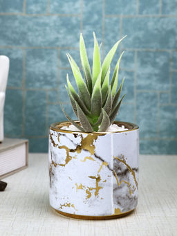 Tayhaa - White Succulent Artificial Plant with Pot