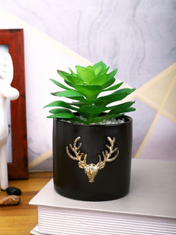 Tayhaa - Black Succulent Artificial Plant with Pot
