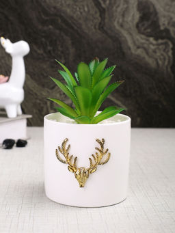 Tayhaa - White Succulent Artificial Plant with Pot
