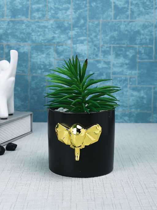 Tayhaa Black Succulent Artificial Plant with Pot