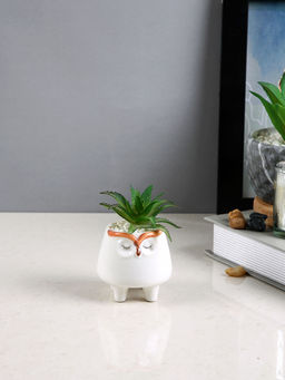 Tayhaa - White Succulent Artificial Plant with Pot
