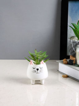 Tayhaa - White Succulent Artificial Plant with Pot
