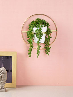 Tayhaa - White Succulent Artificial Plant with Pot