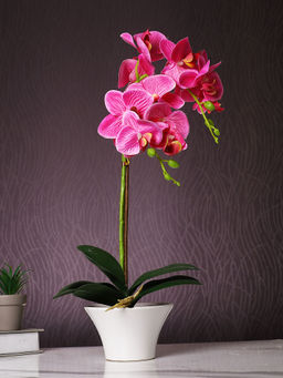 Tayhaa - Pink Orchid Artificial Plant with Pot