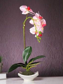 Tayhaa - White Orchid Artificial Plant with Pot