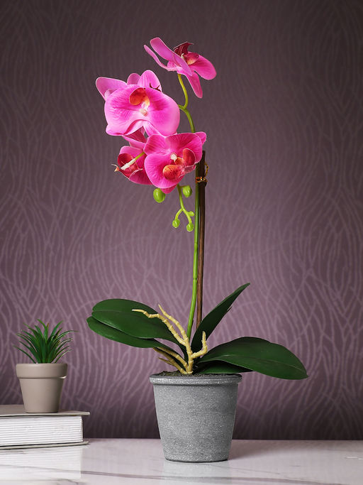 Tayhaa Pink Orchid Artificial Plant with Pot