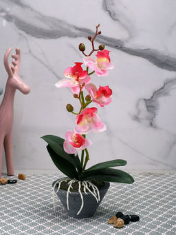 Tayhaa - Pink Orchid Artificial Plant with Pot