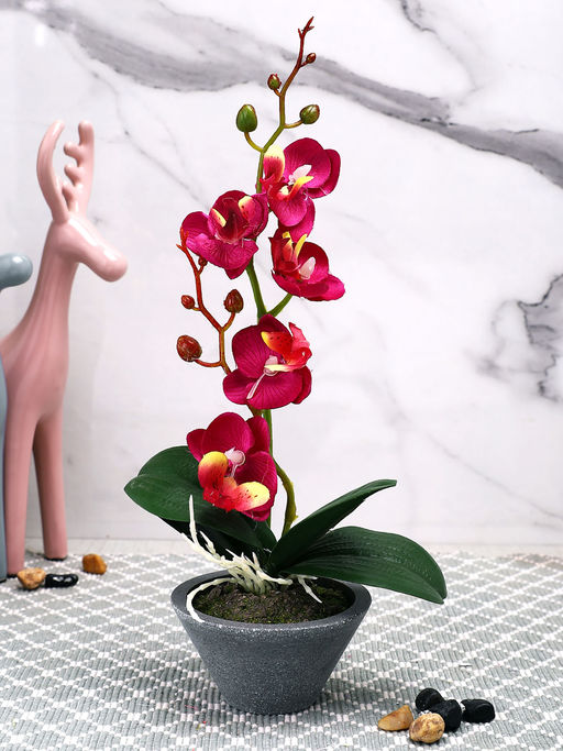 Tayhaa Pink Orchid Artificial Plant with Pot