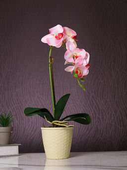 Tayhaa - Pink Orchid Artificial Plant with Pot