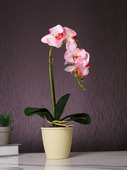Tayhaa Pink Orchid Artificial Plant with Pot