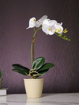 Tayhaa - White Orchid Artificial Plant with Pot