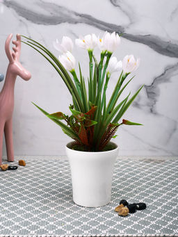 Tayhaa - White Tulip Artificial Plant with Pot