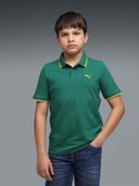 Green color option, Currently selected