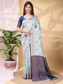 Blue color option, Currently selected