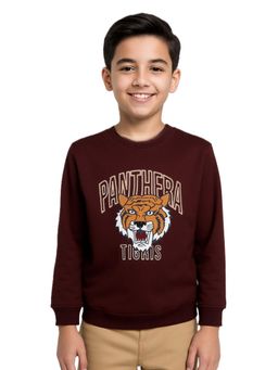 CAVIO - Boys Embroidered Full Sleeves Round Neck Sweatshirt - Purple