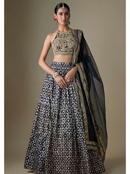 Neha Khullar - Black Banarasi Printed Lehenga with Stitched Blouse and Dupatta