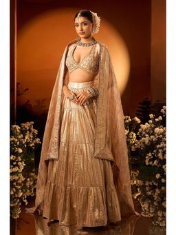 Neha Khullar - Pink Banarasi Chanderi Lehenga with Stitched Blouse and Dupatta