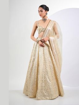 Neha Khullar - Ivory Banarasi Lehenga With Hand Embroidered Stitched Blouse And Dupatta