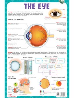 Pegasus - The Eye Thick Laminated Chart