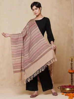 fabindia shawl