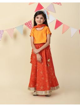 Fabindia - Rust Cotton Silk Blend Printed Choli with Lehenga & Dupatta