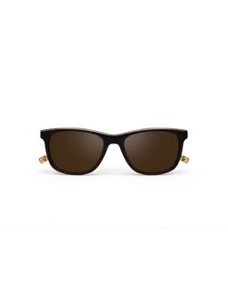 Vanderbilt New York - Men Acetate Brown Lens Sunglasses - 64A6COL2BOZ