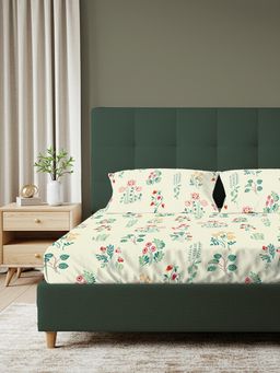 Urban Space - Serene 200 Tc Cotton Bedsheets with 2 Pillow Covers - Double - Eden Cream