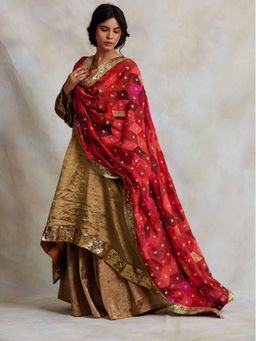PRIYANKA RAAJIV - Gulshan Patchwork Heritage Dupatta