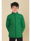 Green color option, Currently selected