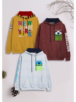 3PIN - Boys Cotton Sweatshirts with Hoodie (Pack of 3)