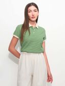 Green color option, Currently selected