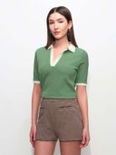 Green color option, Currently selected