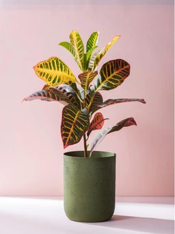 Nestroots - Luxurious Sage Green Metallic Vase