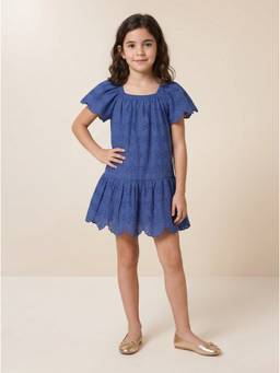 ZONE - Girls Embroidered Blue Mini Dress