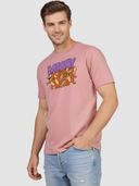 Mauve color option, Sold out