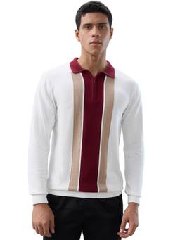 ColorPlus - Men Maroon Stripes Pure Cotton Polo T-Shirt