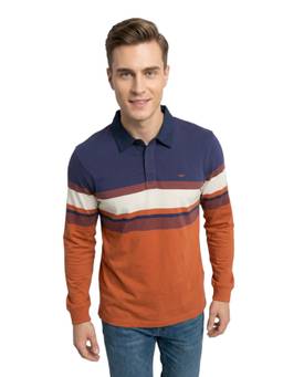 ColorPlus - Men Blue Colorblock Pure Cotton Polo T-Shirt